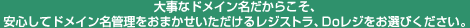 大事なドメイン名だからこそ、安心してドメイン名管理をおまかせいただけるレジストラ、Doレジをお選びください